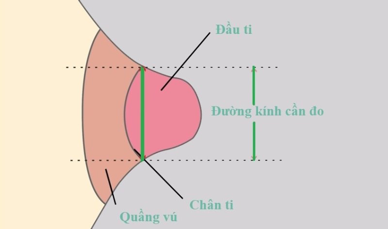 Cách đo size phễu máy hút sữa chính xác