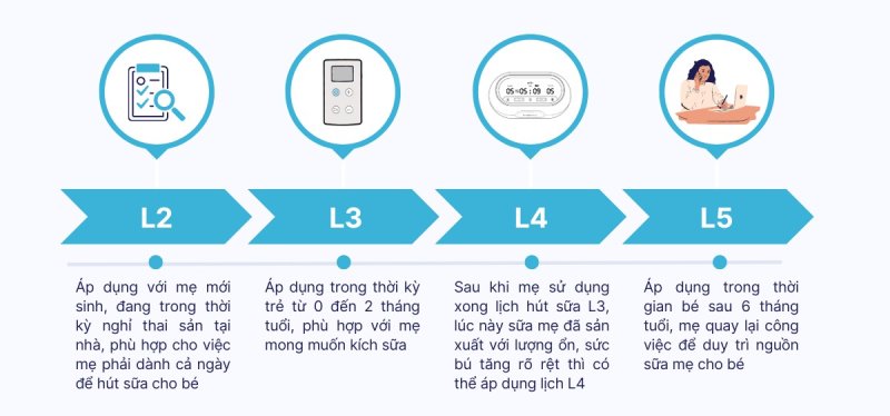 Hút sữa đều đặn theo lịch