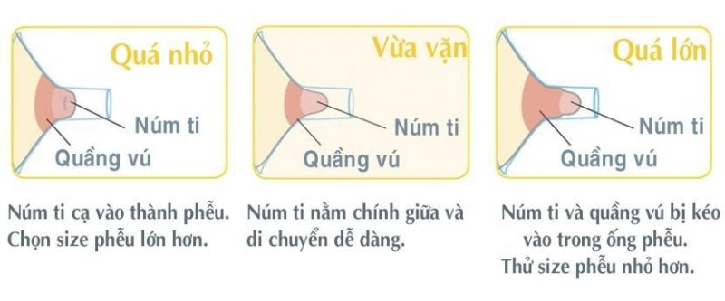 Đặt phễu hút sữa đúng vị trí