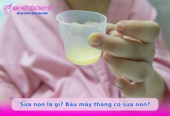 Bầu mấy tháng có sữa non