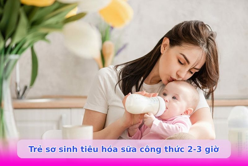 Bé bú sữa công thức bao lâu thì đói