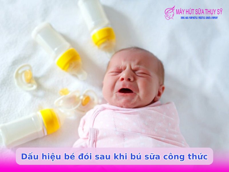 Bé bú sữa công thức bao lâu thì đói