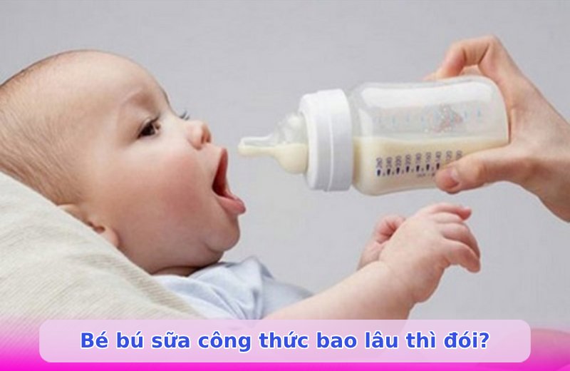 Bé bú sữa công thức bao lâu thì đói