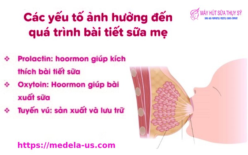 Làm sao để sữa về nhanh sau mỗi cữ bú