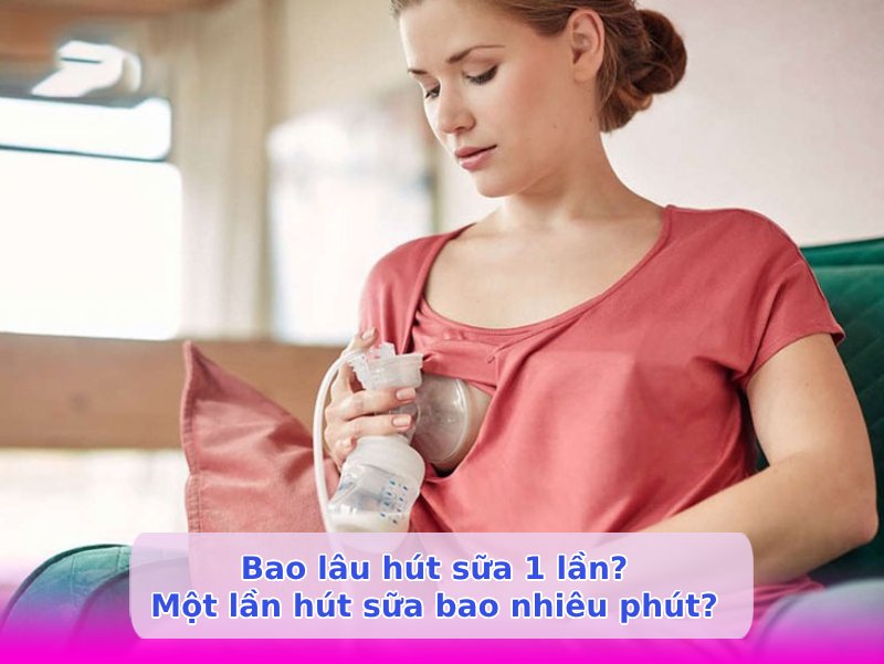 Lịch hút sữa