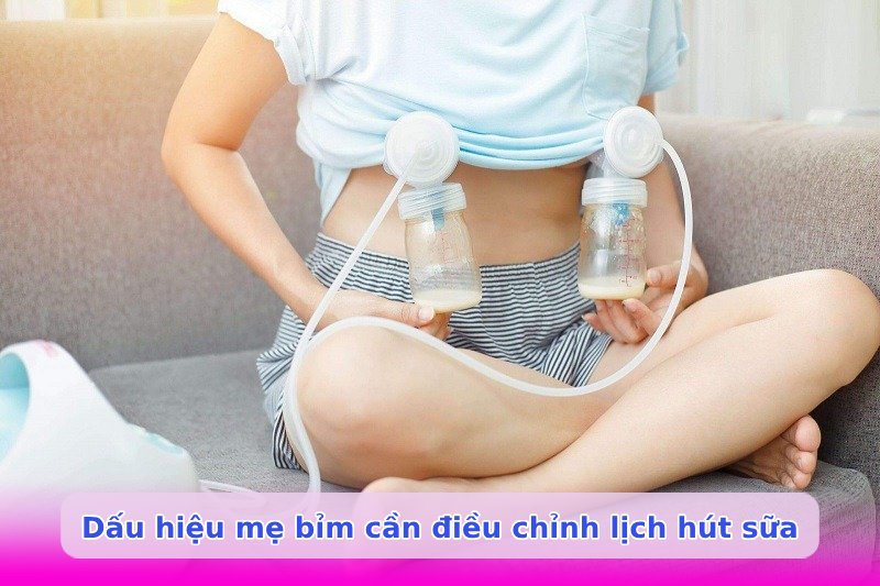 Lịch hút sữa