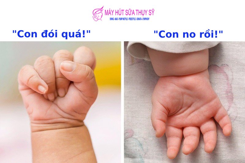 Lượng ăn của trẻ sơ sinh