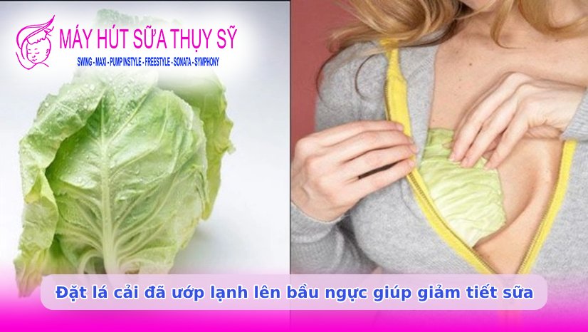 Ngưng hút sữa bao lâu thì mất sữa