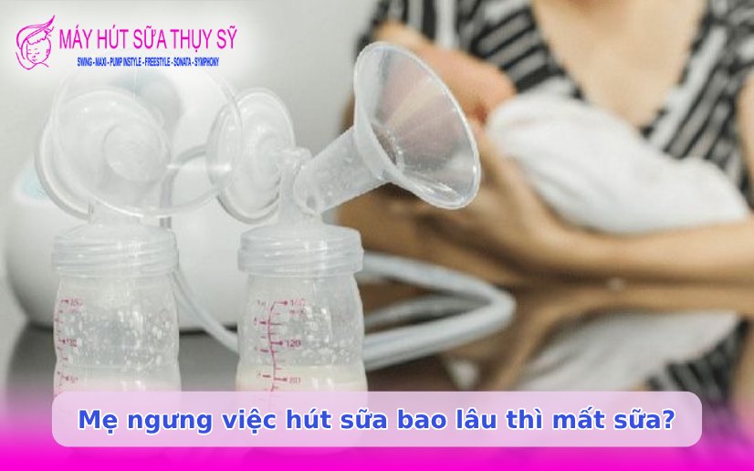 Ngưng hút sữa bao lâu thì mất sữa