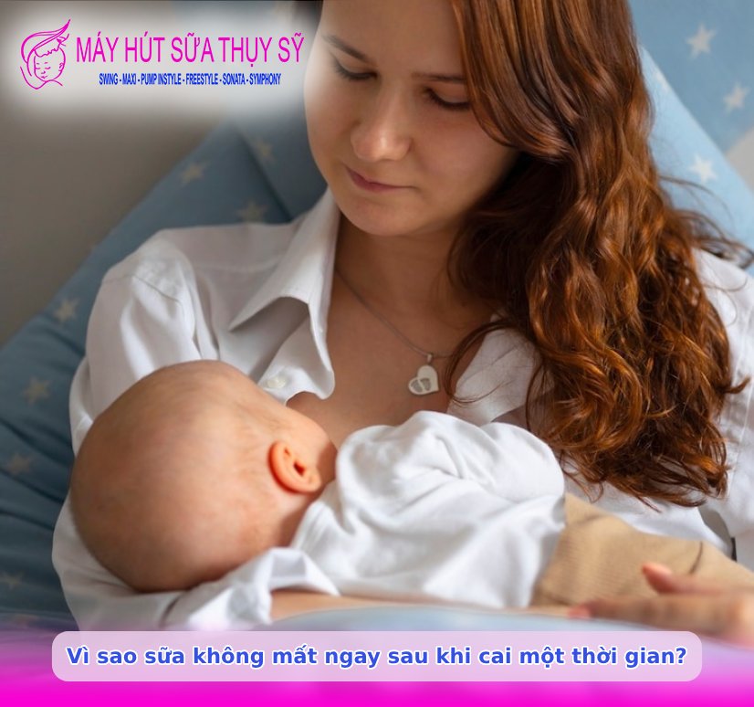 Ngưng hút sữa bao lâu thì mất sữa