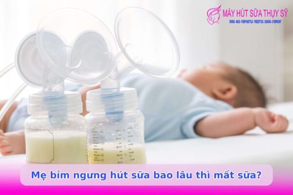 Ngưng hút sữa bao lâu thì mất sữa?