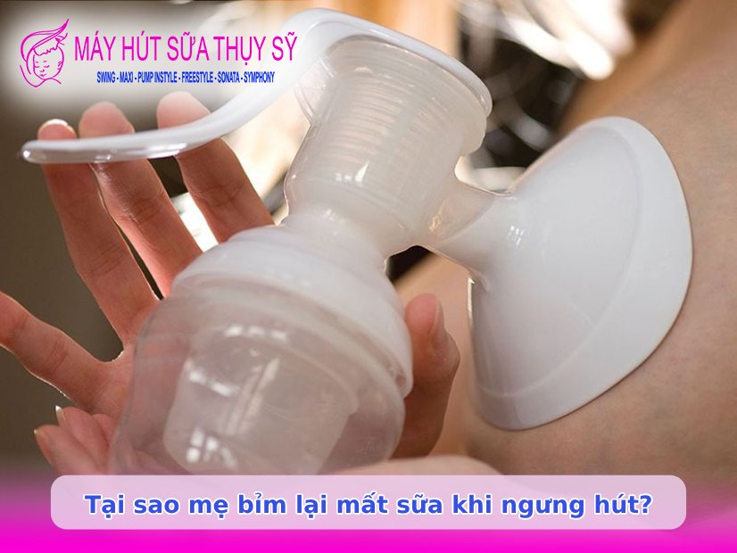 Ngưng hút sữa bao lâu thì mất sữa
