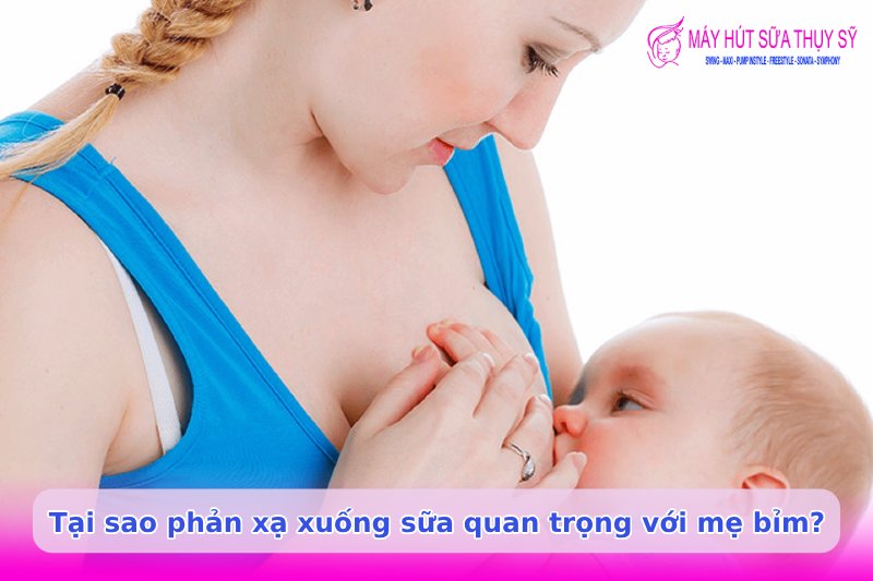 Phản xạ xuống sữa