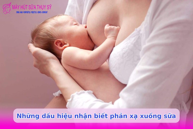 Phản xạ xuống sữa