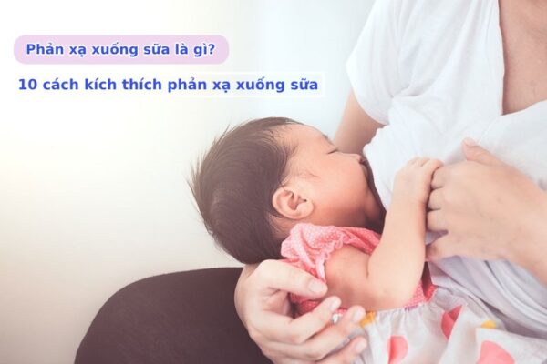 Phản xạ xuống sữa