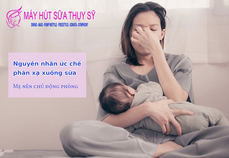 Phản xạ xuống sữa