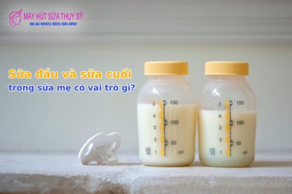 Sữa đầu và sữa cuối